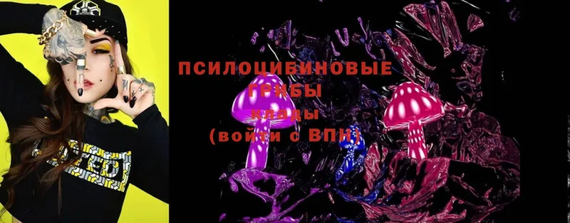 Галлюциногенные грибы Psilocybe  наркошоп  Петров Вал 